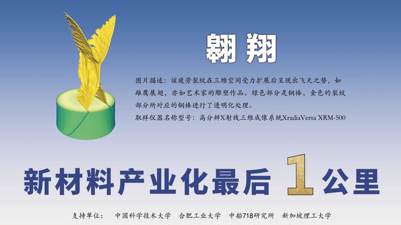 广州烘焙食品防腐剂批发：了解合规与选择要点**