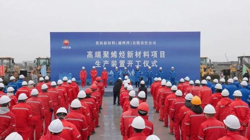 阳离子表面活性剂：揭秘其价格背后的秘密**