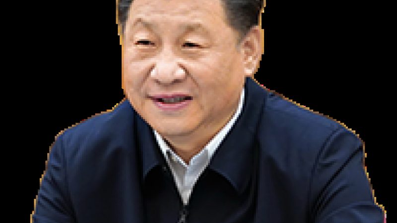 工业添加剂材质分类解析：揭秘工业生产的“隐形助手