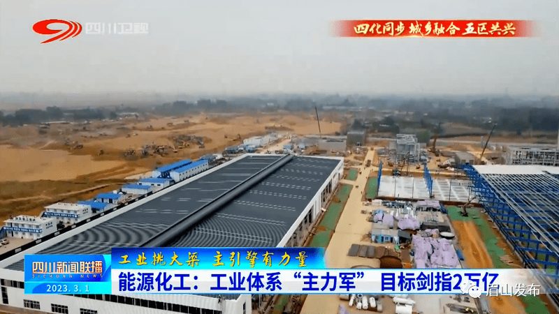 工业化学助剂批发价格背后的考量因素